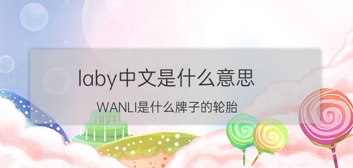 laby中文是什么意思 WANLI是什么牌子的轮胎？